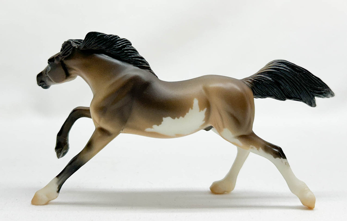 Mustang, Dun Pinto - 2009 Target SR