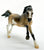 Mustang, Dun Pinto - 2009 Target SR
