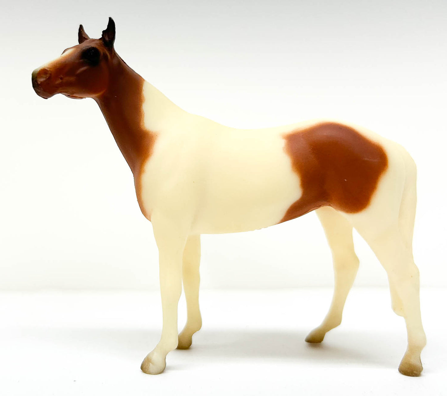 Native Dancer, Chestnut Pinto