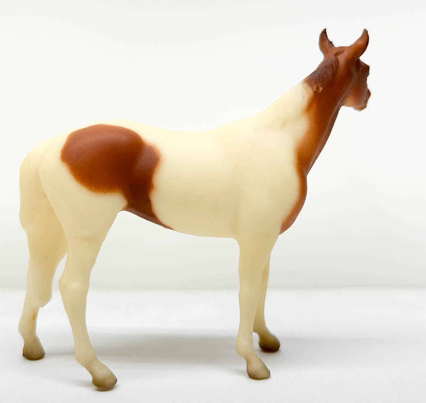 Native Dancer, Chestnut Pinto