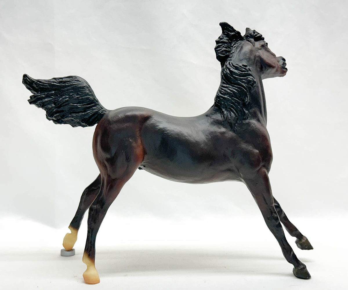Smoky ~ Nevada Joe Sterling - 2002 TSC SR