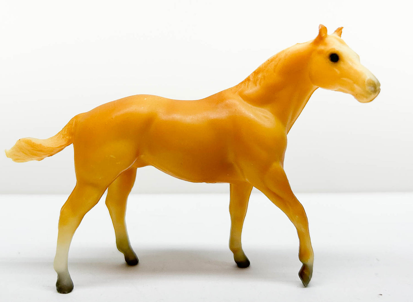 Quarter Horse Stallion, Palomino - Bald Face Version