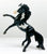 Rearing Andalusian, Black Pinto