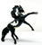 Rearing Andalusian, Black Pinto