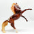 Rearing Andalusian, Liver Chestnut Appaloosa - JC Penney SR