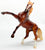 Rearing Andalusian, Liver Chestnut Appaloosa - JC Penney SR