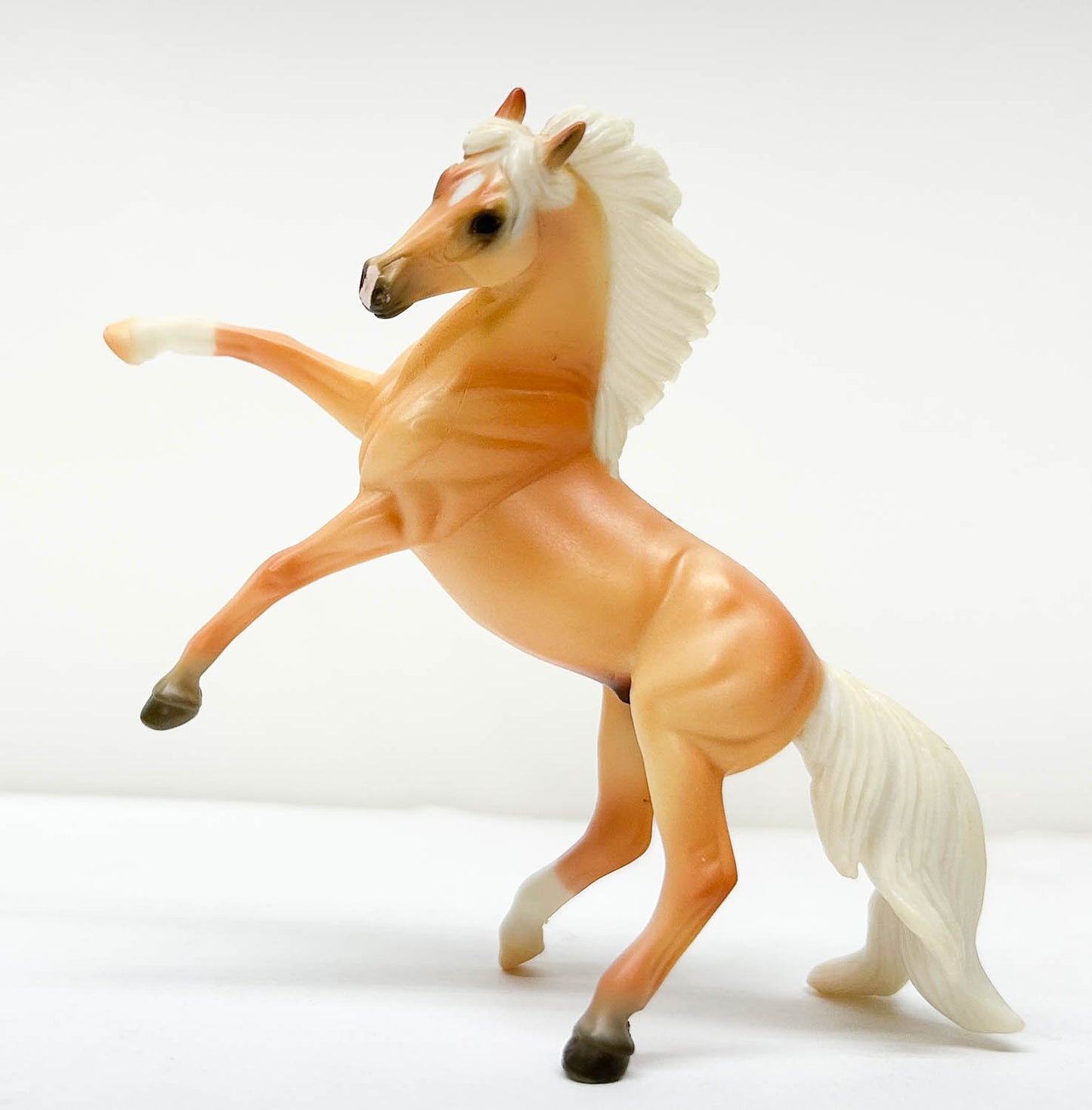 Rearing Andalusian, Palomino  - Target SR