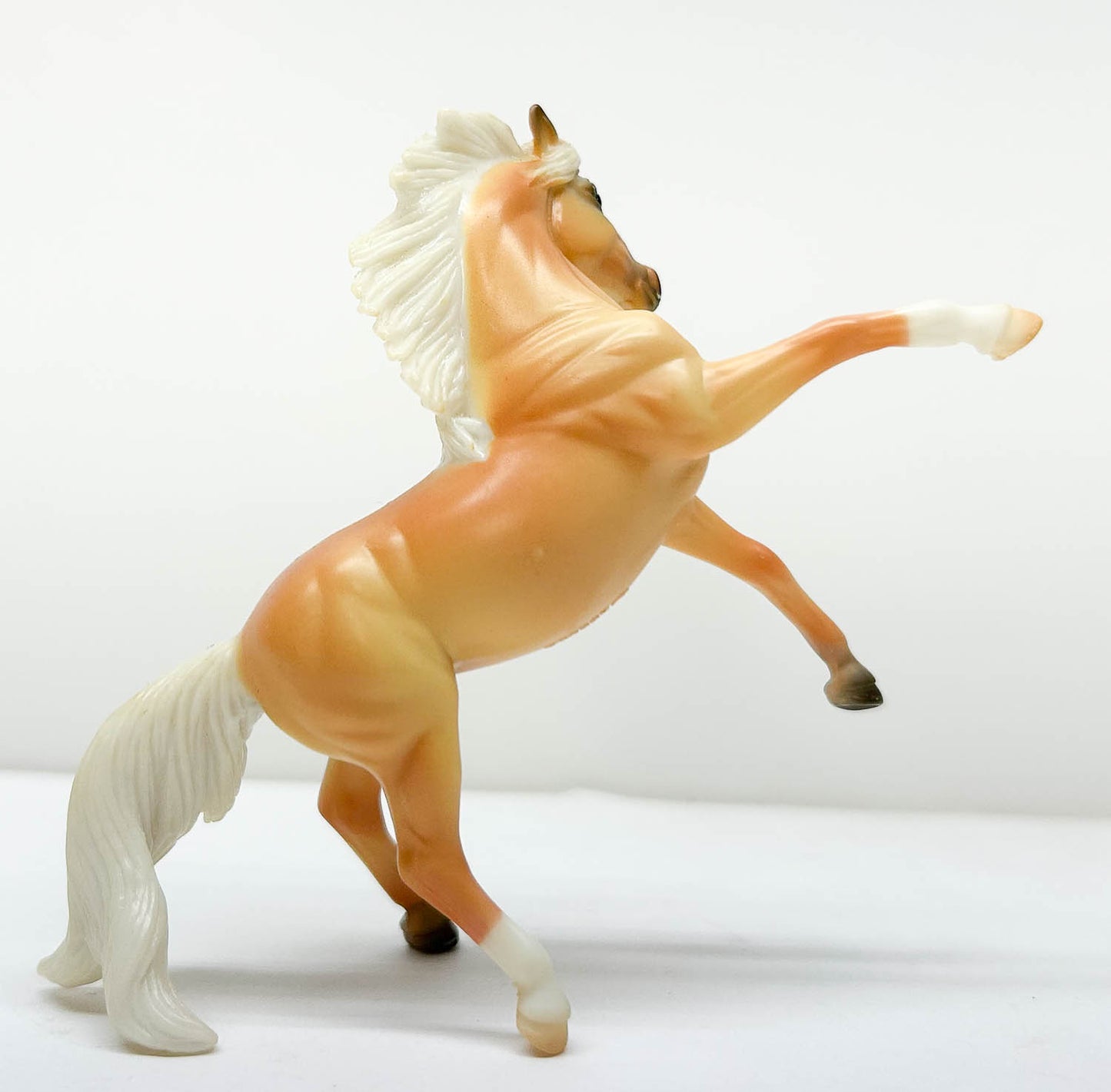 Rearing Andalusian, Palomino  - Target SR