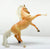 Rearing Andalusian, Palomino  - Target SR