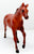 Seabiscuit, Chestnut - Sears SR