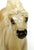 Shetland Pony ~ Legally Blonde - 2004 Jamboree SR