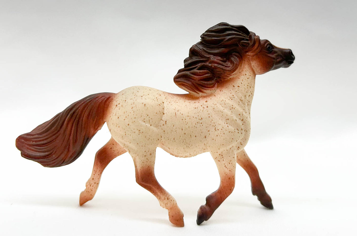 Shetland Pony, Red Roan