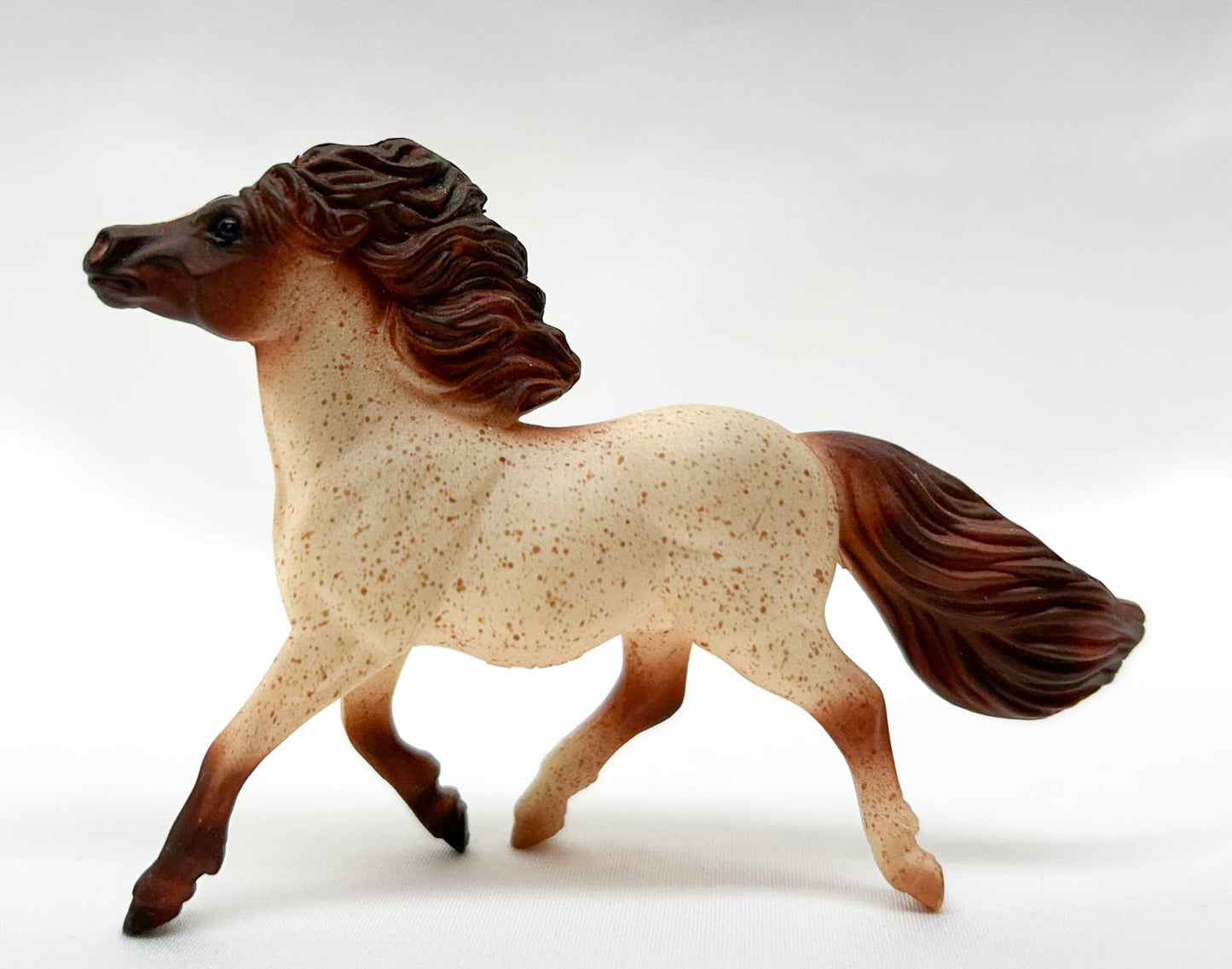 Shetland Pony, Red Roan