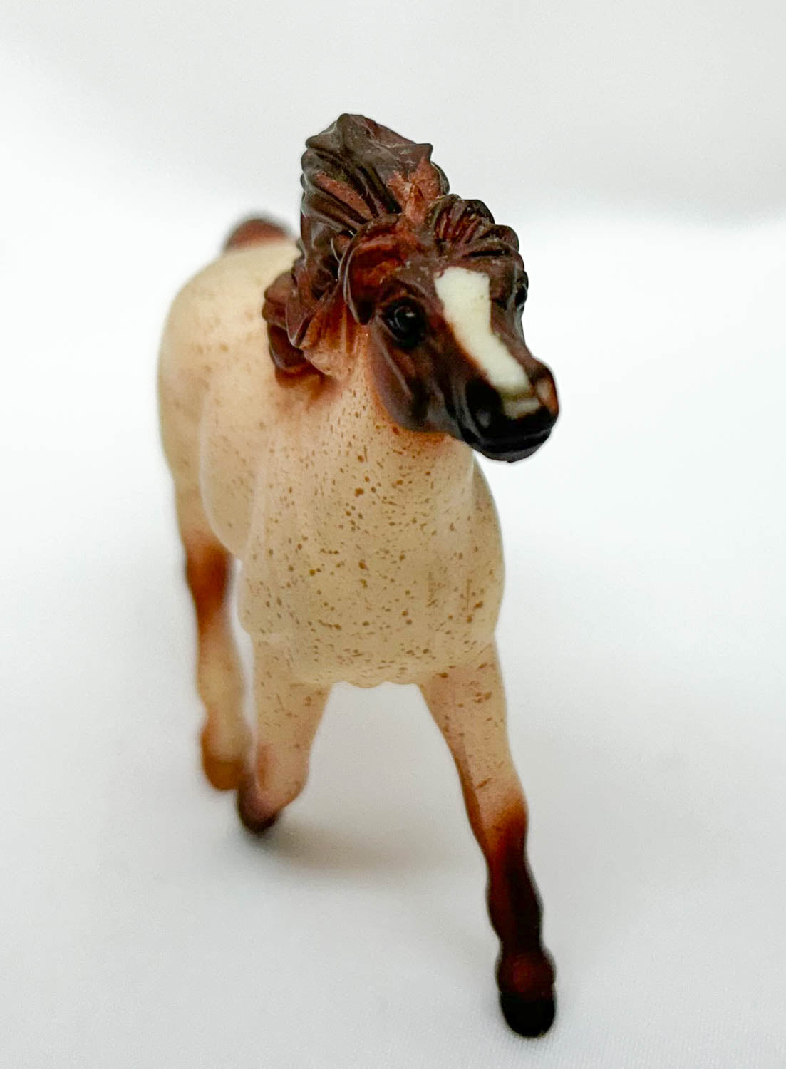 Shetland Pony, Red Roan