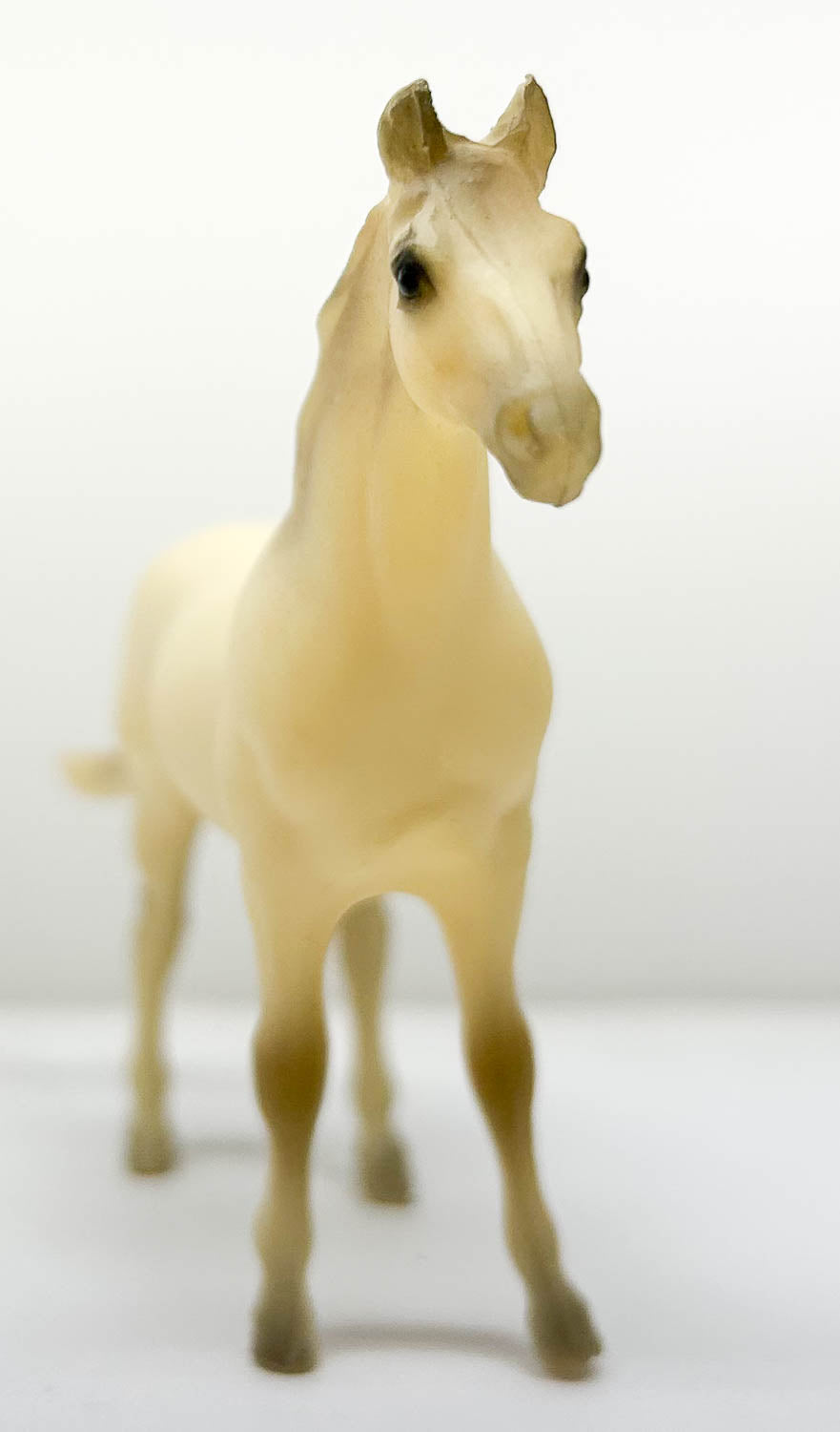 Silky Sullivan, Light Rose Grey - JCP SR