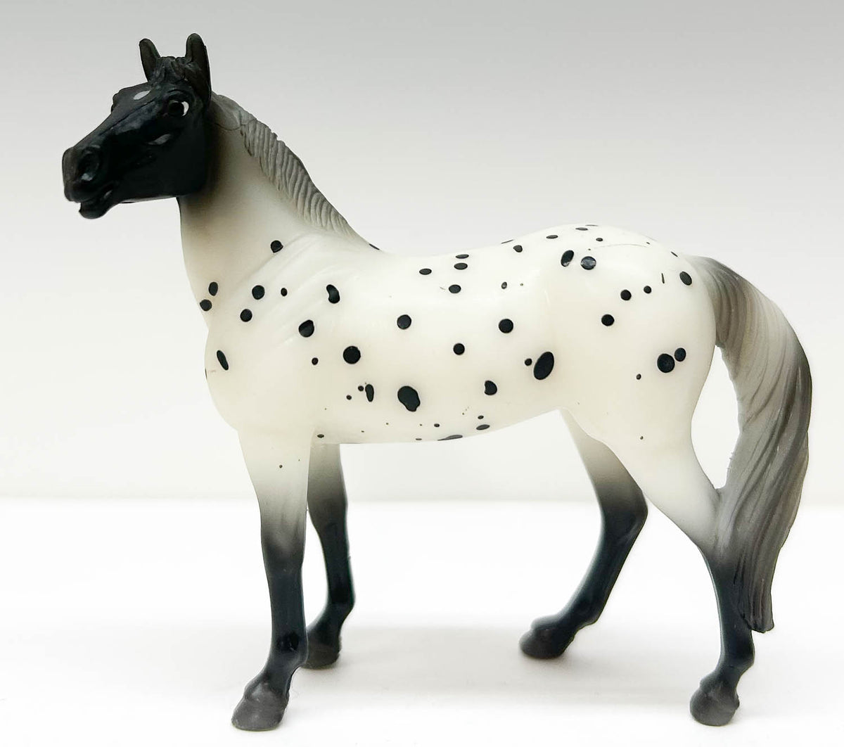 Standing Stock Horse, Leopard Appaloosa