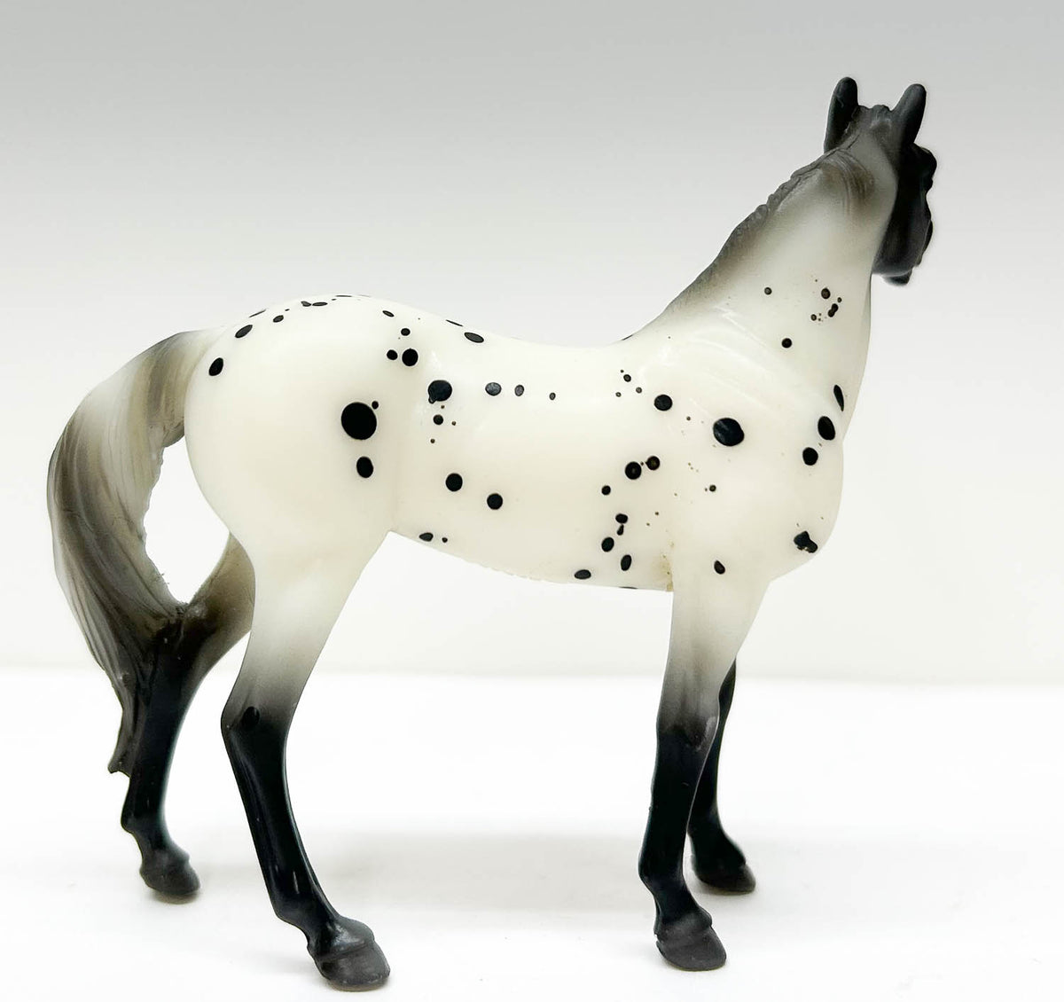 Standing Stock Horse, Leopard Appaloosa