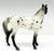 Standing Stock Horse, Leopard Appaloosa
