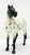 Standing Stock Horse, Leopard Appaloosa
