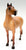 Standing Stock Horse, Red Roan - Cracker Barrel SR