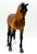 Standing Thoroughbred, Bay - 2010 Toys R Us SR