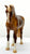 Standing Thoroughbred, Chestnut - WEG 2010 SR w/ Bonus WEG Blanket