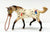 Stock Horse ~ Indian Brave and Appaloosa Set