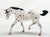 Stock Horse, Leopard Appaloosa - JAH SR