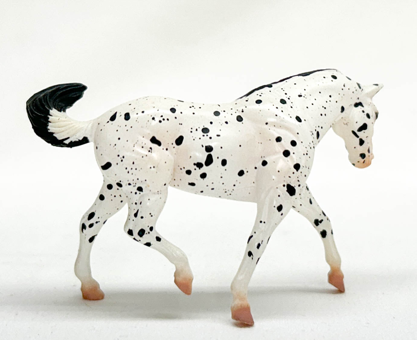 Stock Horse, Leopard Appaloosa - JAH SR