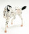 Stock Horse, Leopard Appaloosa - JAH SR