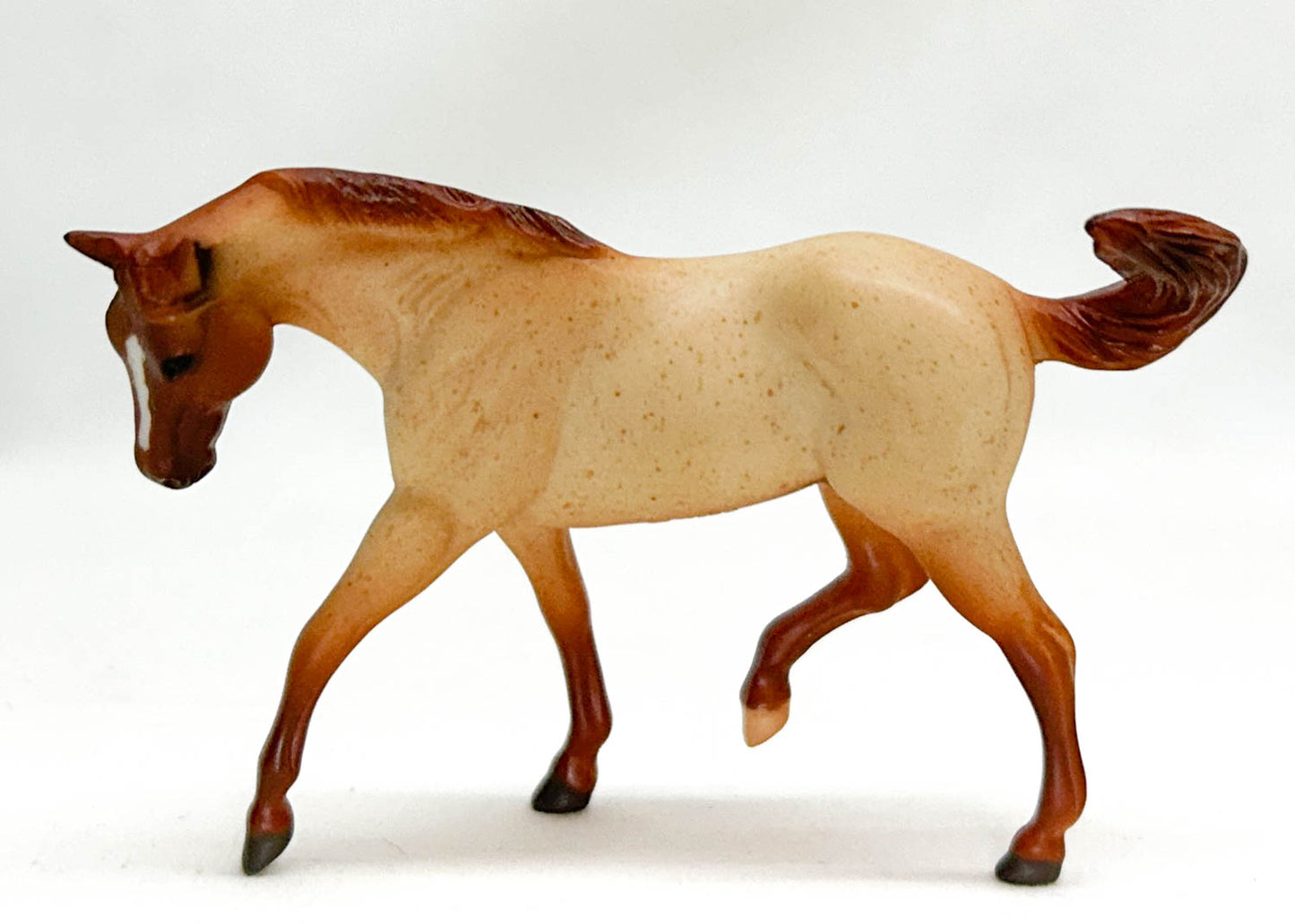 Stock Horse, Red Roan - JCP 2005 SR