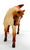 Stock Horse, Red Roan - JCP 2005 SR