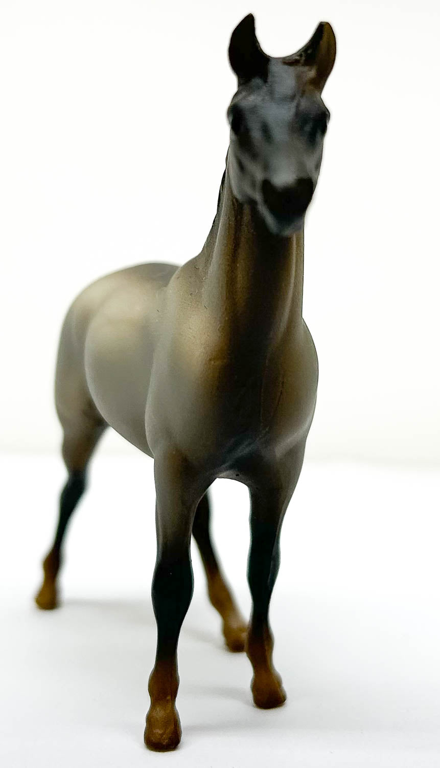 Swaps, Grulla - JC Penney SR