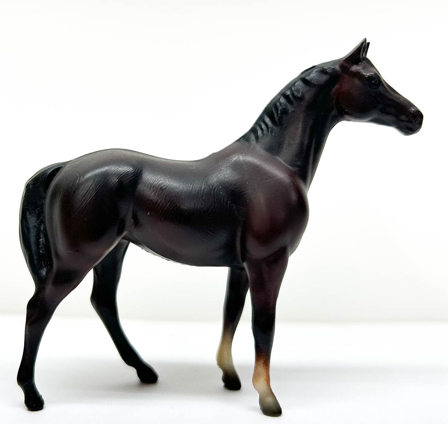 Swaps, Dark Bay/Brown - Sears SR