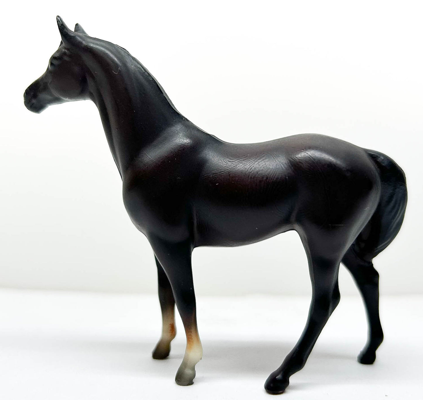 Swaps, Dark Bay/Brown - Sears SR