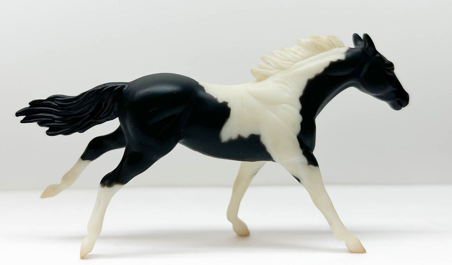 Thoroughbred, Black Pinto - JCP SR