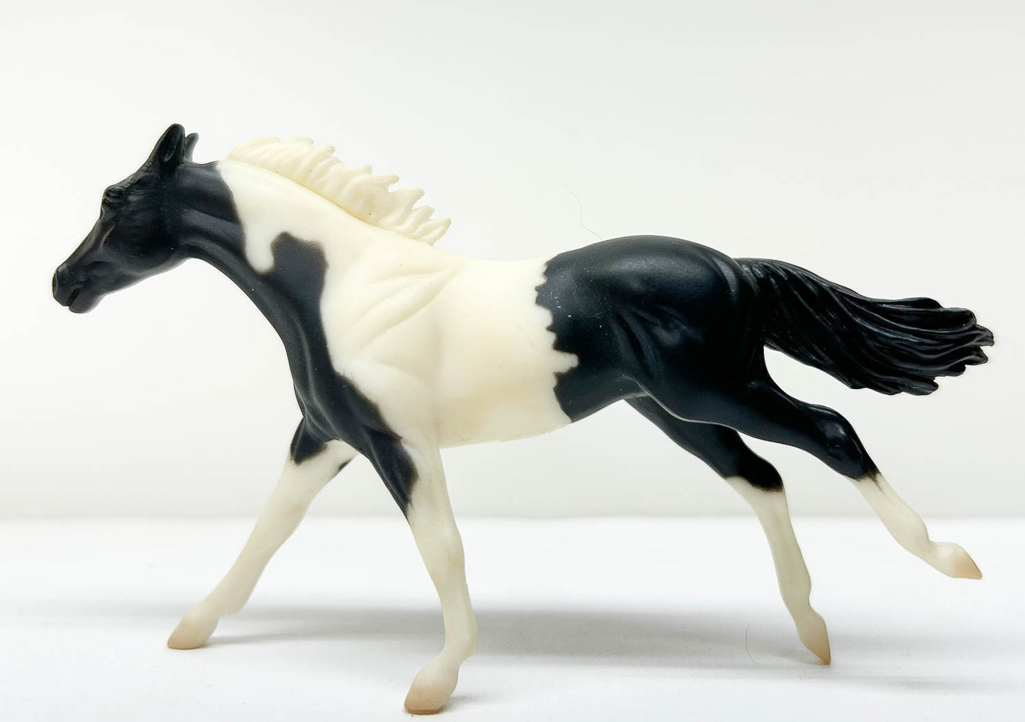 Thoroughbred, Black Pinto - JCP SR