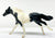 Thoroughbred, Black Pinto - JCP SR