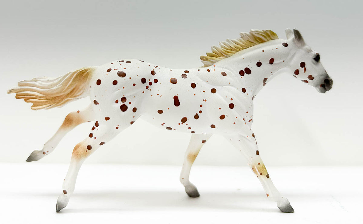 Thoroughbred, Leopard Appaloosa
