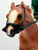Thoroughbred ~ English Rider and Saddle Set