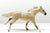 Thoroughbred, Fleabitten Grey - 2005 JC Penney SR