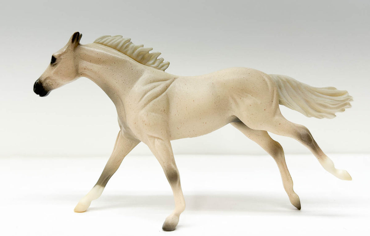 Thoroughbred, Fleabitten Grey - 2005 JC Penney SR