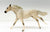 Thoroughbred, Fleabitten Grey - 2005 JC Penney SR