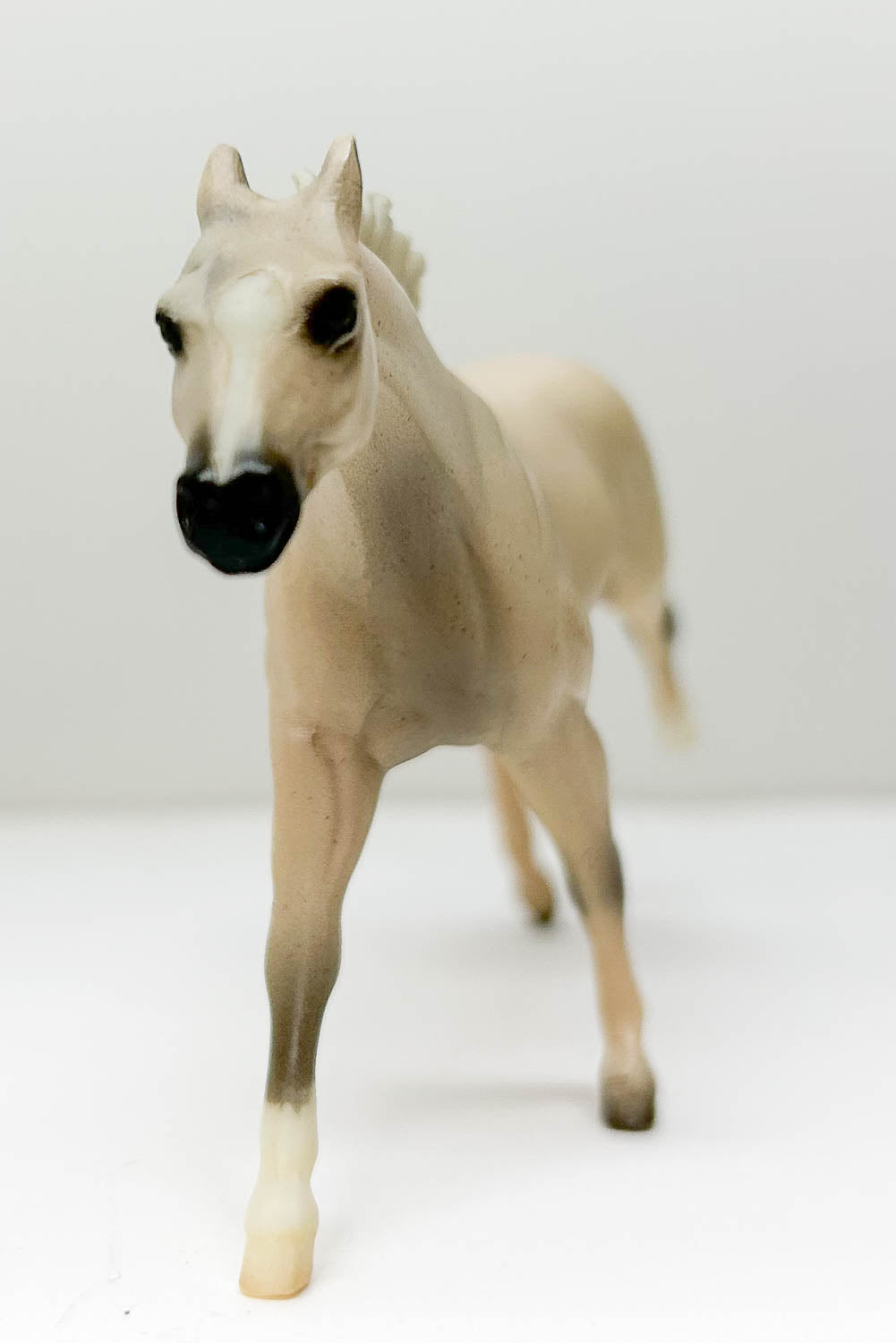 Thoroughbred, Fleabitten Grey - 2005 JC Penney SR