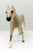 Thoroughbred, Fleabitten Grey - 2005 JC Penney SR