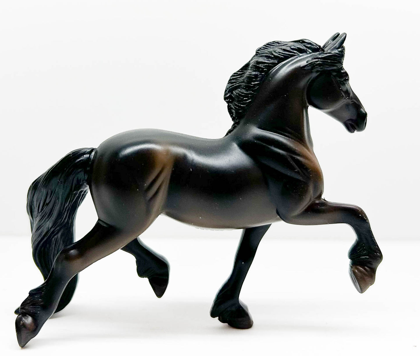 Trotting Friesian, Black