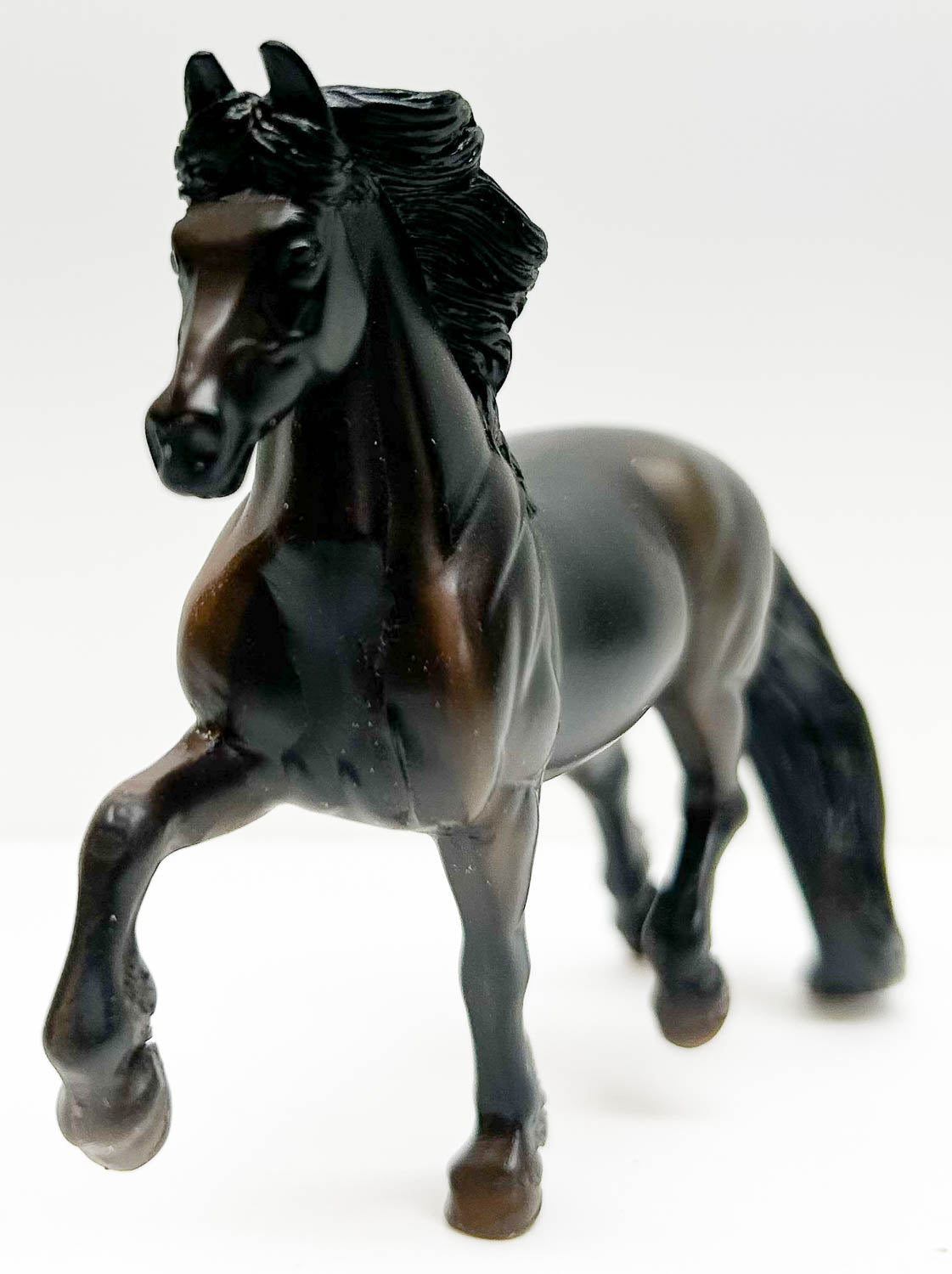 Trotting Friesian, Black