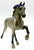 Tennessee Walking Horse, Dapple Grey