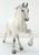 Tennessee Walking Horse, Grey