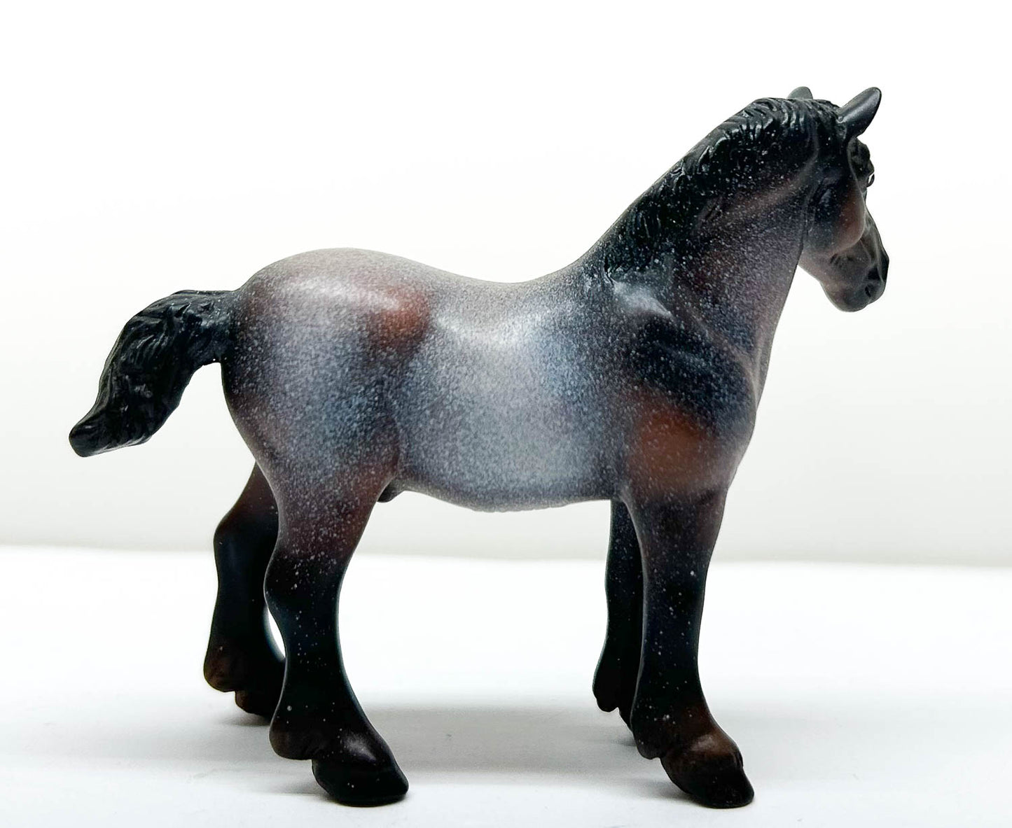 Vaulting Draft Horse, Bay Roan - WEG SR